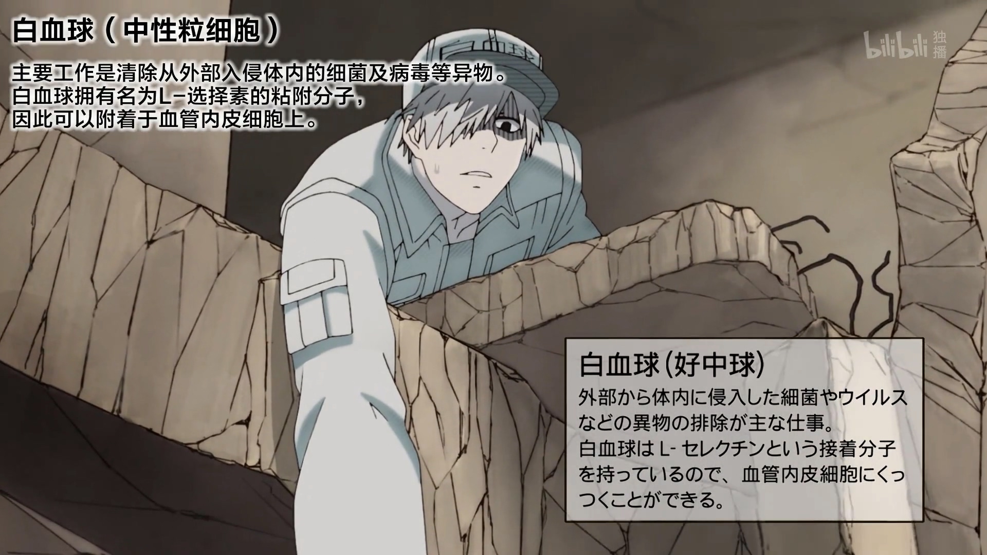 工作细胞第2话科普图片剧情