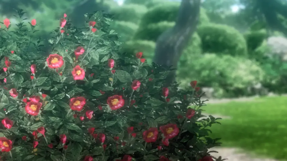 天冬草木日志 茶梅 不是山茶花也很可爱 哔哩哔哩