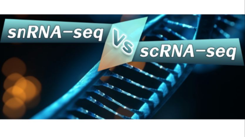 snRNA-seq vs scRNA-seq谁更nice，用数据说话 - 哔哩哔哩