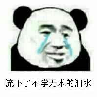 和仿生人谈恋爱