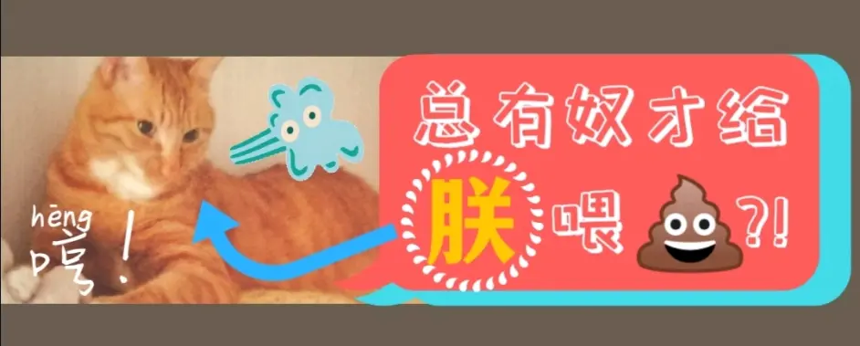 猫咪喂养小记 对付猫咪挑食的四个应急招数 主食罐不吃爱吃猫粮零食怎么办 哔哩哔哩