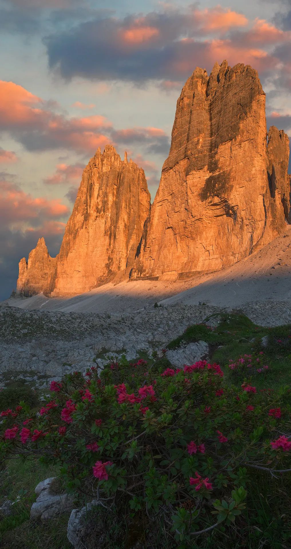 4k高清壁纸免费送!