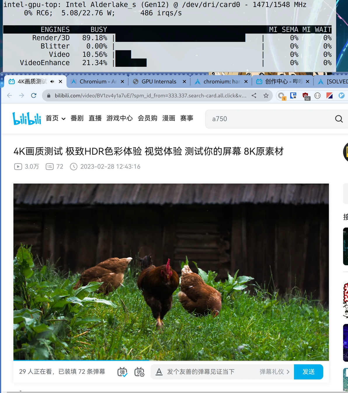  linux chrome 