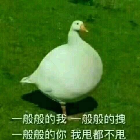 像我这样儒雅随和的up主为什么火不起来