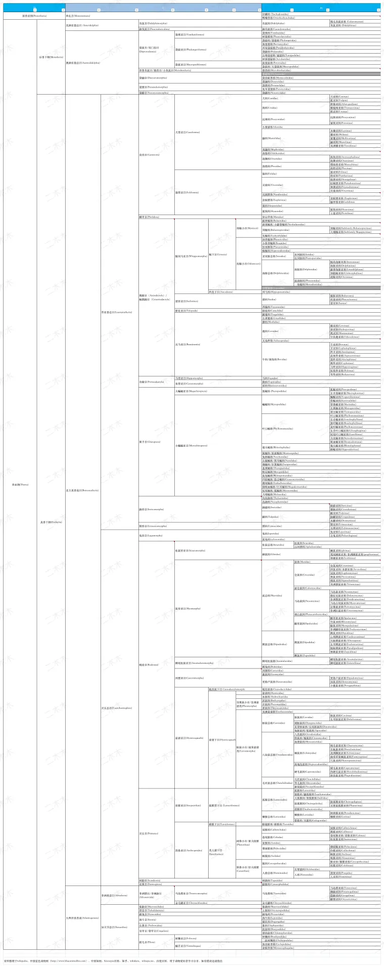 哺乳纲动物分类表 哔哩哔哩