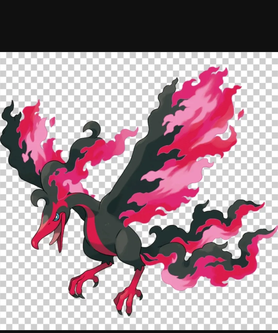 全宝可梦介绍攻略no.25火焰鸟