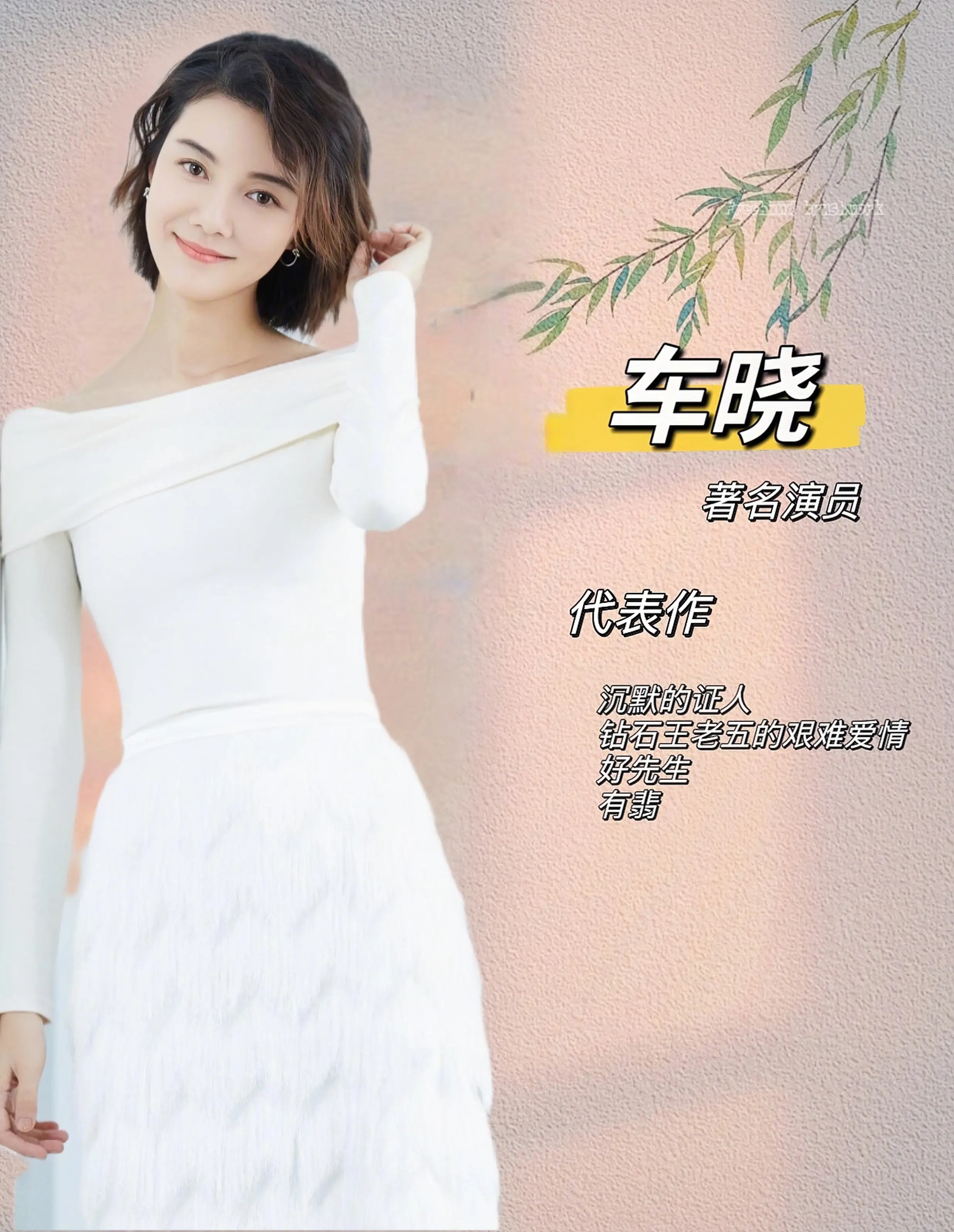 车晓代言费 车晓肖像权代言