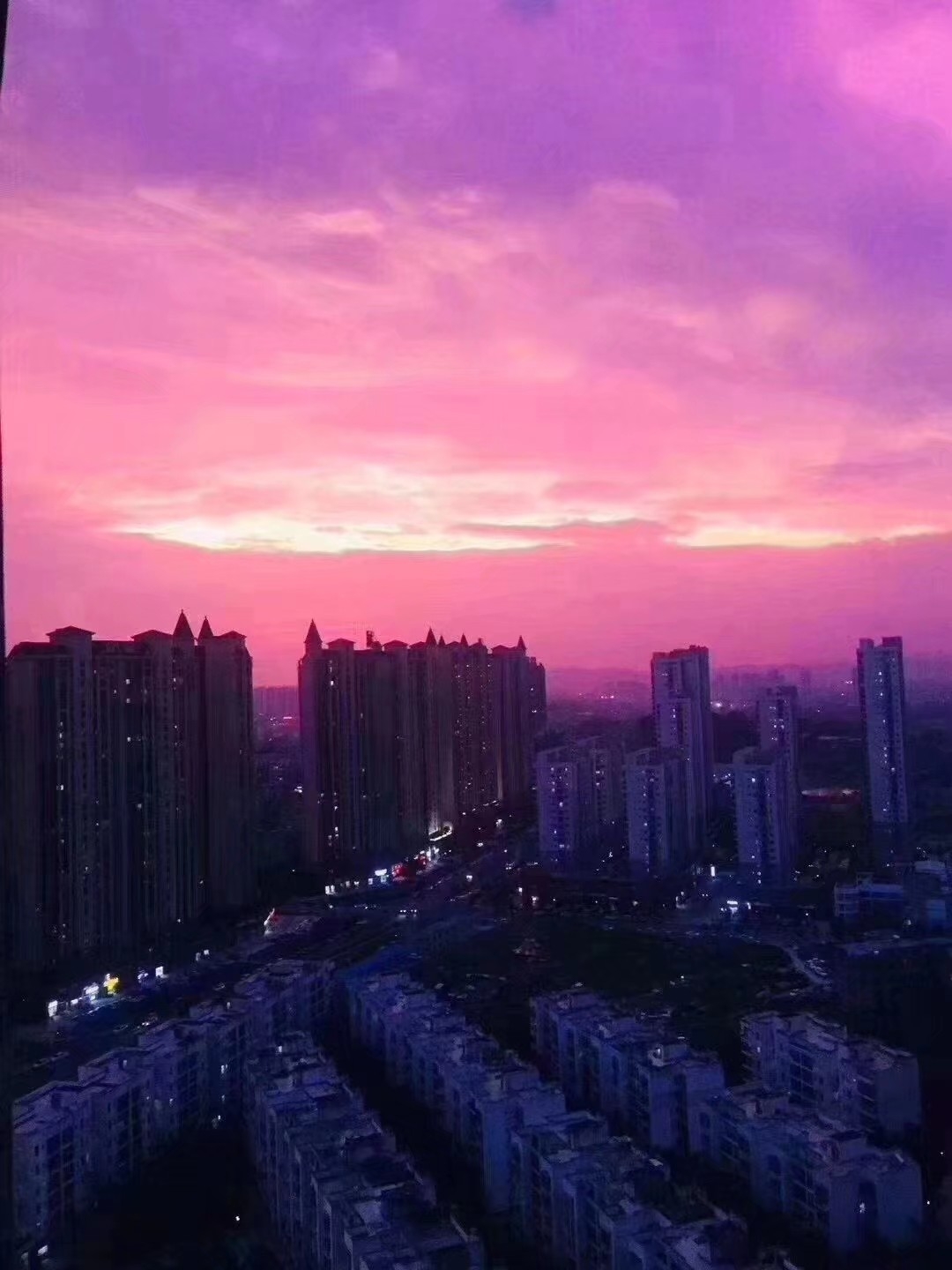 南宁山竹吹出来的美景