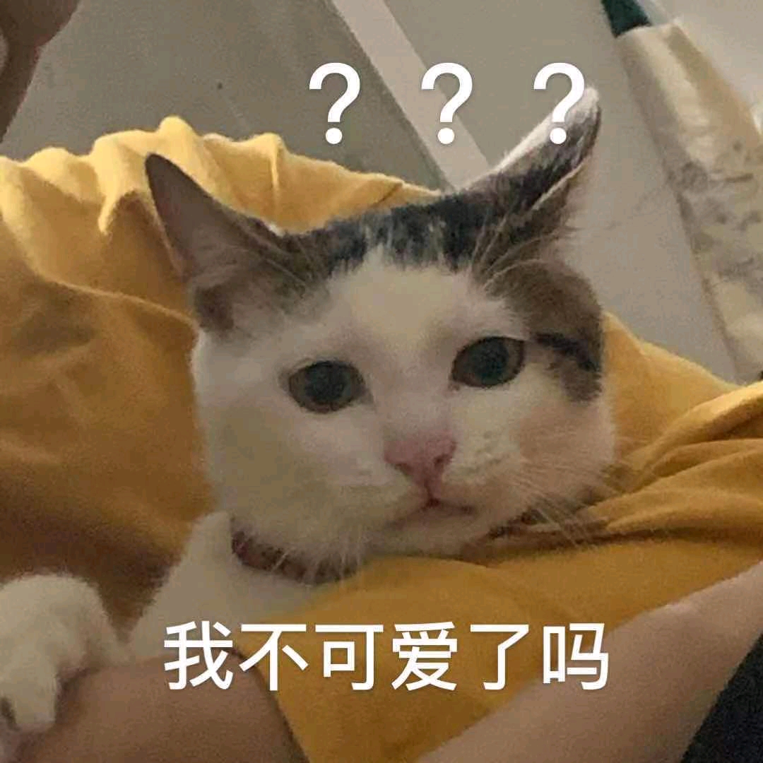 我就静静看着你,看你眼里有没有我