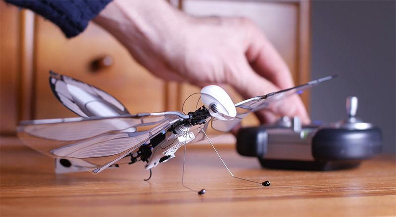 法国航空工程师打造仿生昆虫metafly遥控振翅飞行重量10克