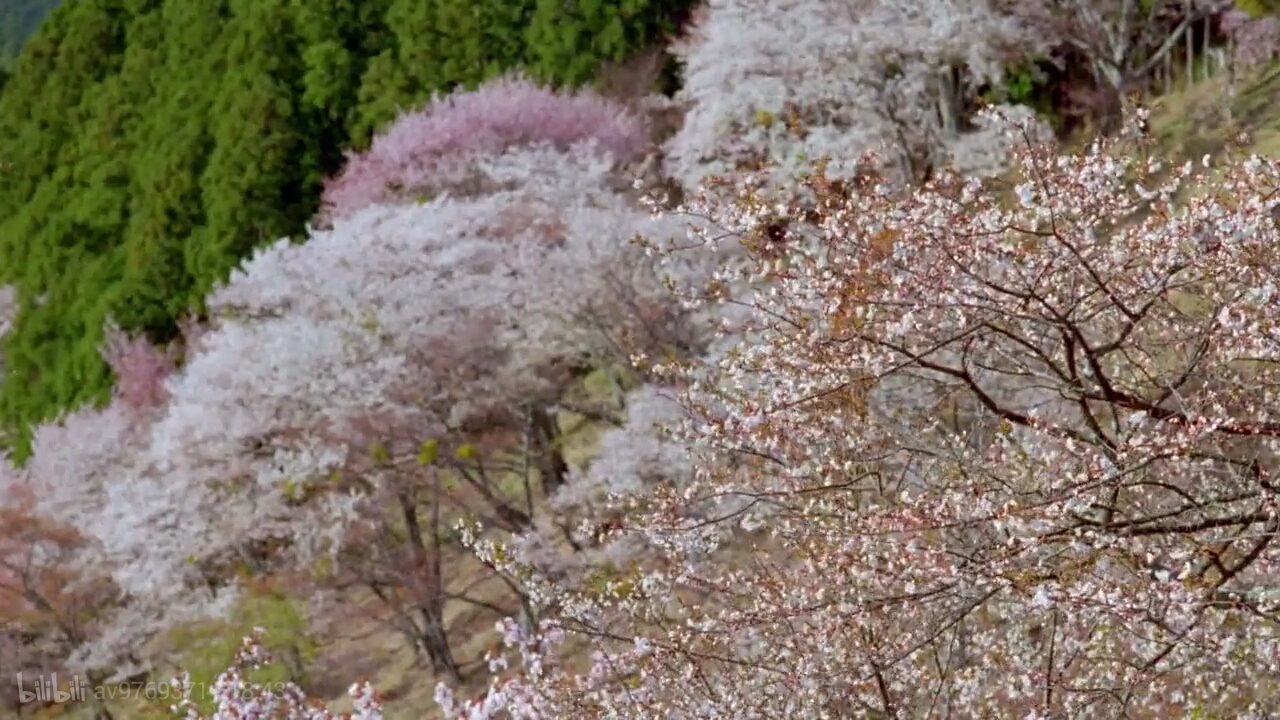 东野圭吾的人性巅峰——《恶意》