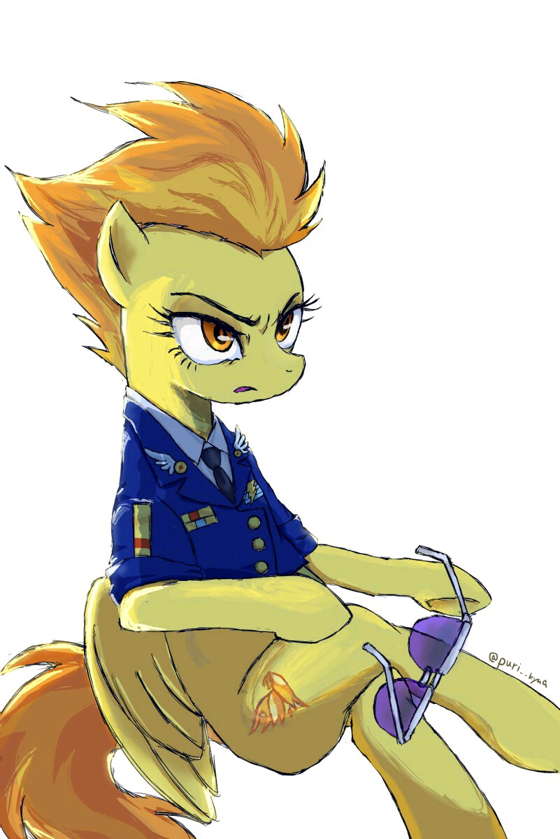 小马宝莉【mlp】图集(222)神奇画师之飞火的天空