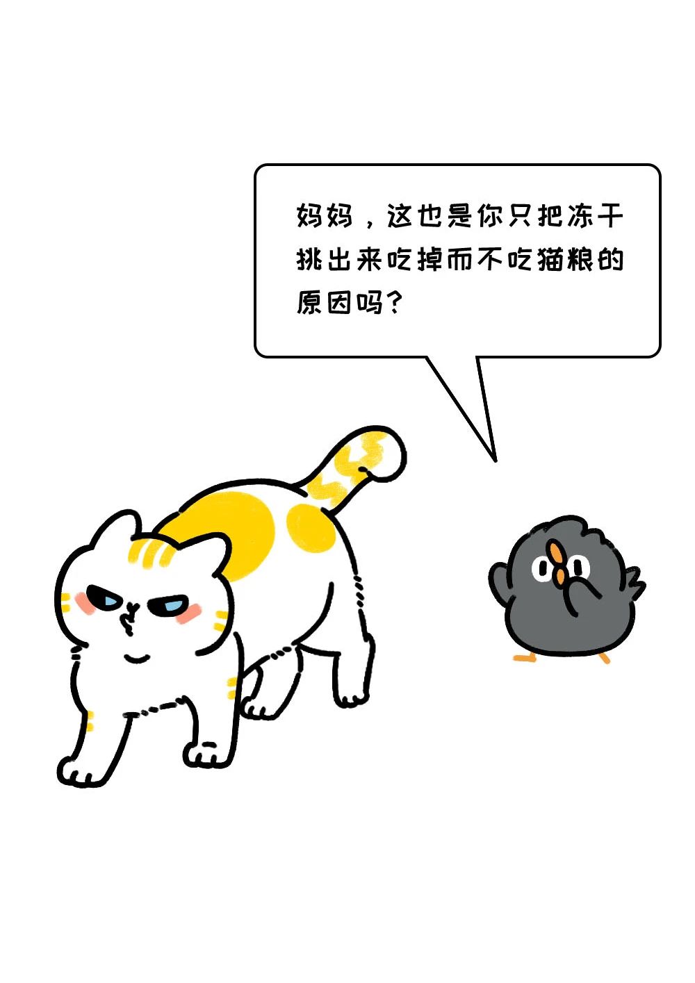 先苦后甜的人生是一场骗局11