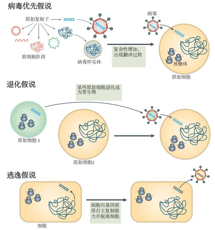 新冠病毒传播路径图图片