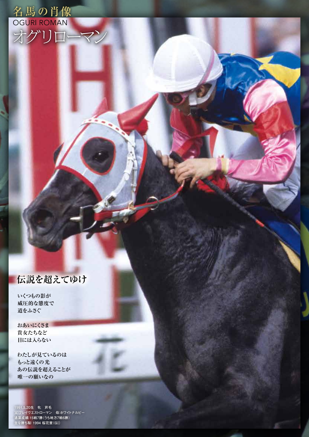 名馬の肖像（2021年） 哔哩哔哩