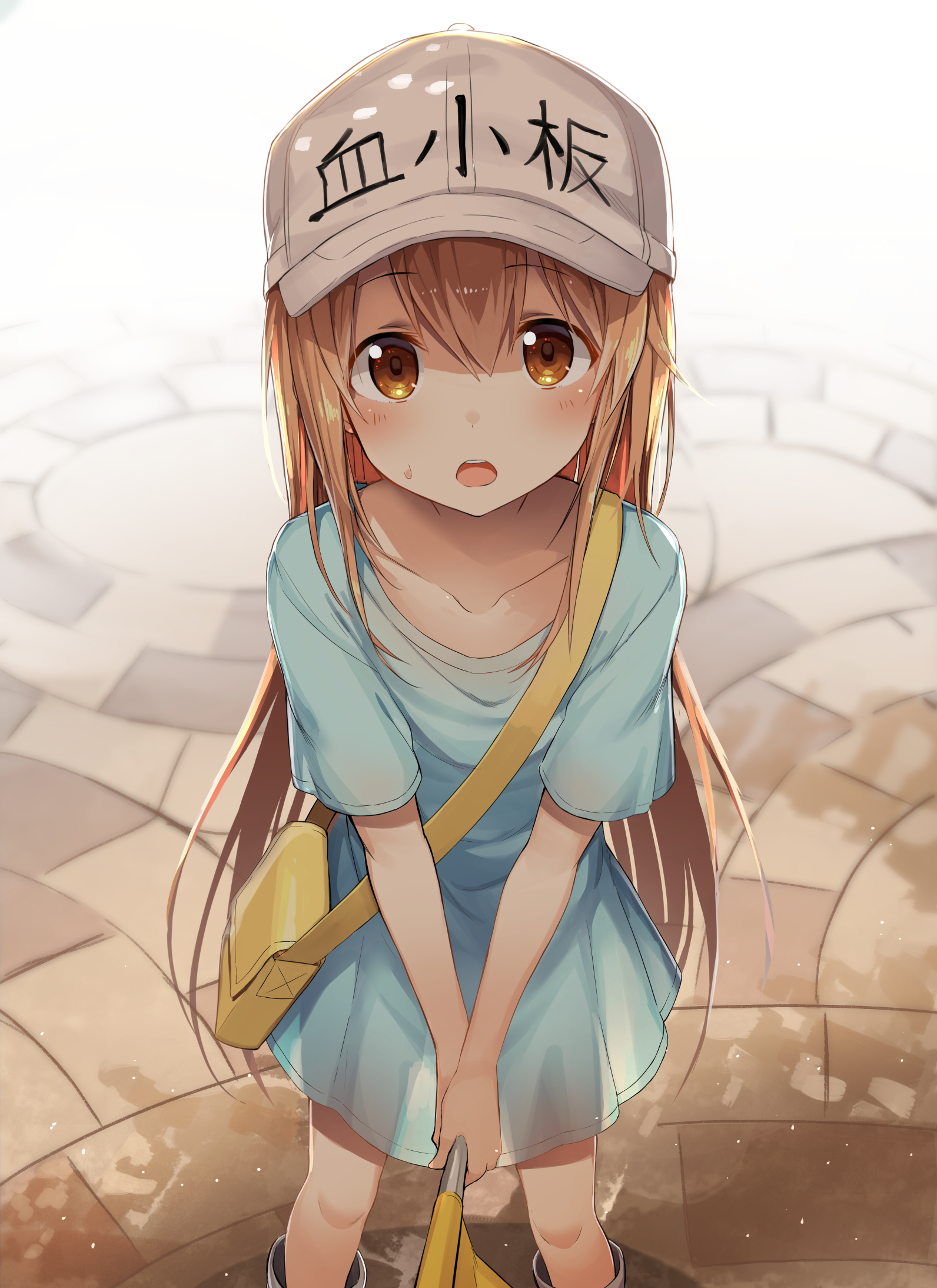 bilibili.com/513245365/dynamic