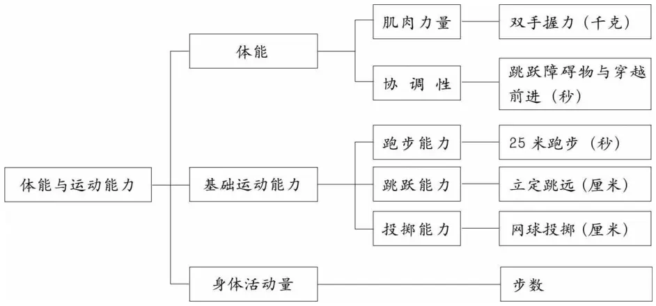 幼儿体格 体力 运动能力的测量和评价 上 哔哩哔哩