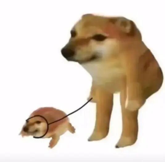 cheems/doge合集【2】|正常人用的表情包(含对比图) - 哔哩哔哩