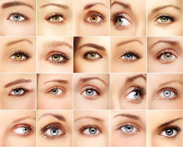 U牌 古代眉笔与现代眉笔的区别是什么 哔哩哔哩