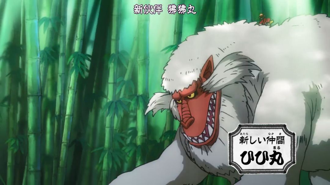 海贼王894:和之国艾斯传