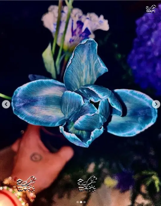 G Dragon权志龙祝贺生日 自爱满满 我是为了得到爱而出生的人 哔哩哔哩