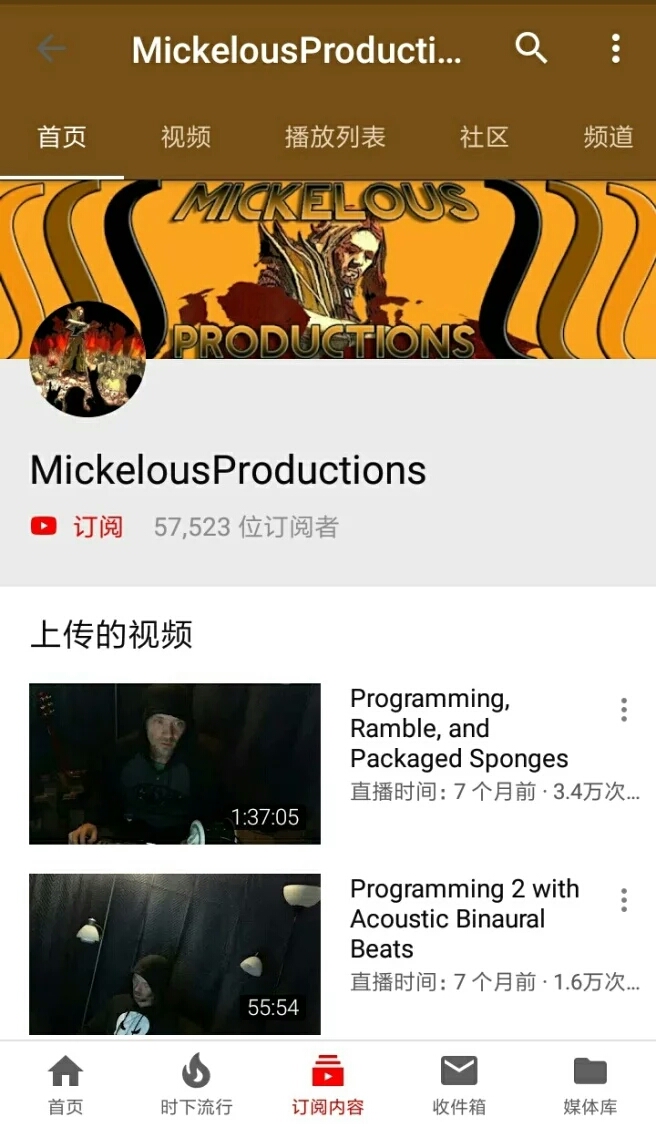 国外ASMR视频主(关注量的解析)(在B站比较知