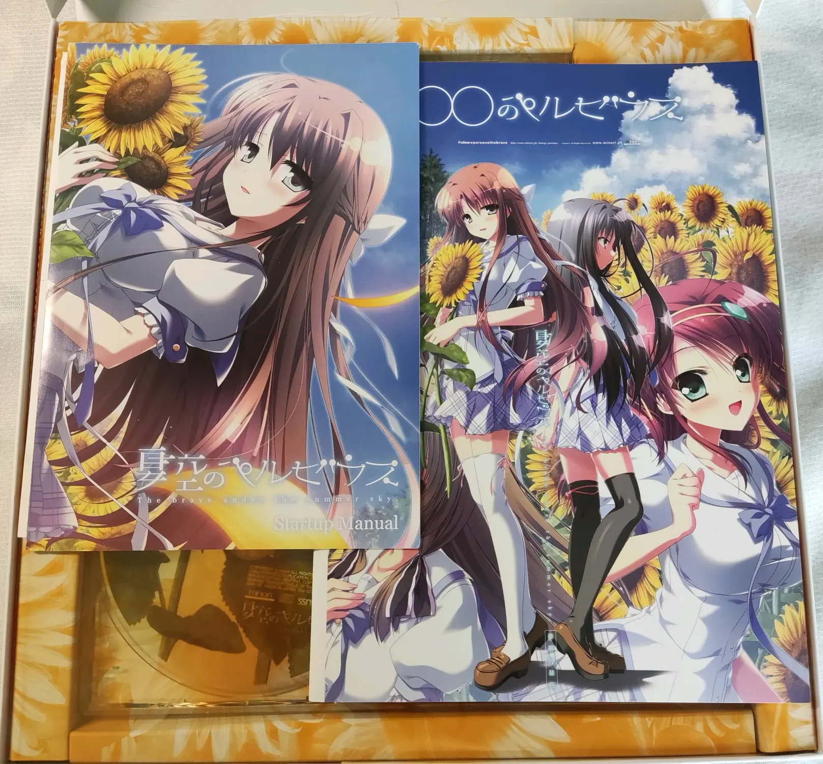 (galgame)夏空的英仙座 pc实体版展示 - 哔哩哔哩