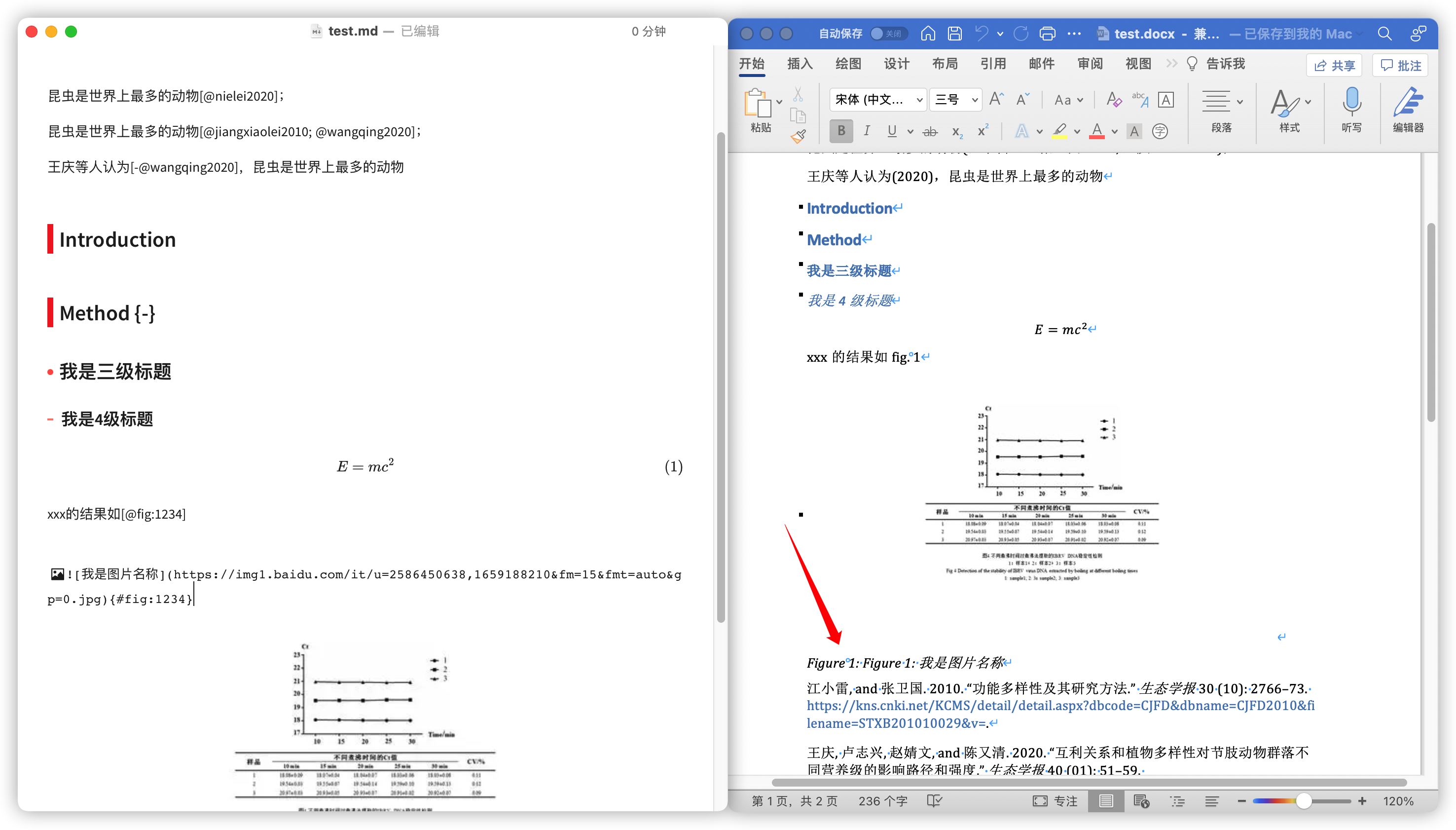 使用Markdown搭配Pandoc撰写学术论文的详细指南 - 哔哩哔哩