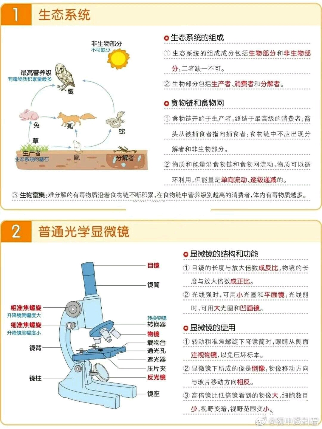 初中生物中考必備17張圖