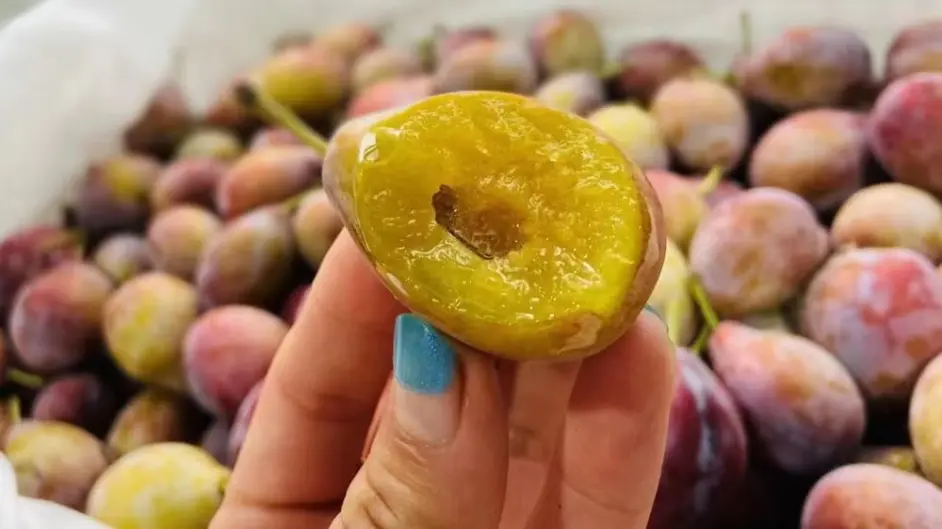 东兴水果店