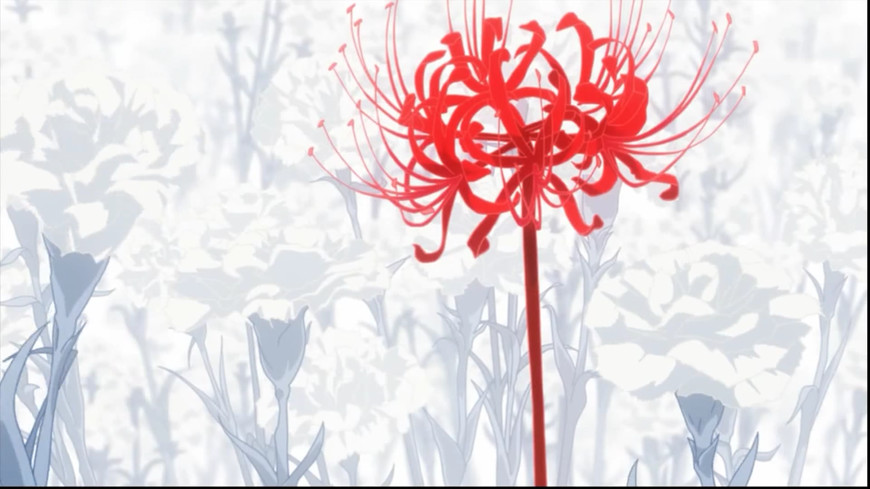 通往地狱的花朵 东京喰种 里推进故事的红色意象 地狱之花曼珠沙华 哔哩哔哩专栏