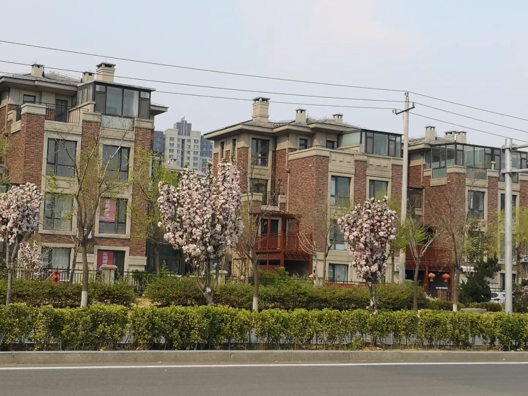 实地地产在青岛遇尴尬,旗下楼盘问题多多 - 哔哩哔哩