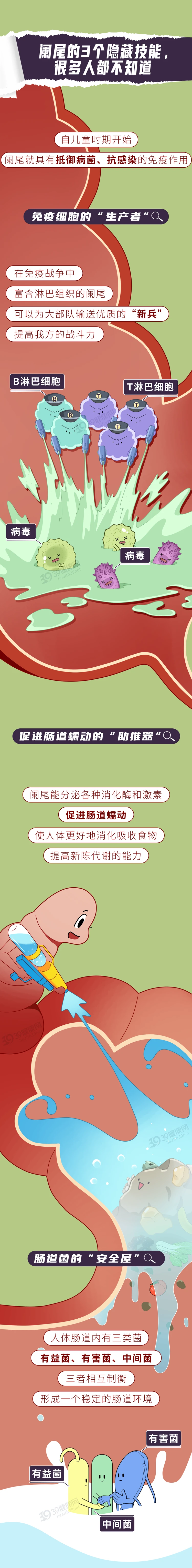 人体最没用的这个器官切掉反而更好2