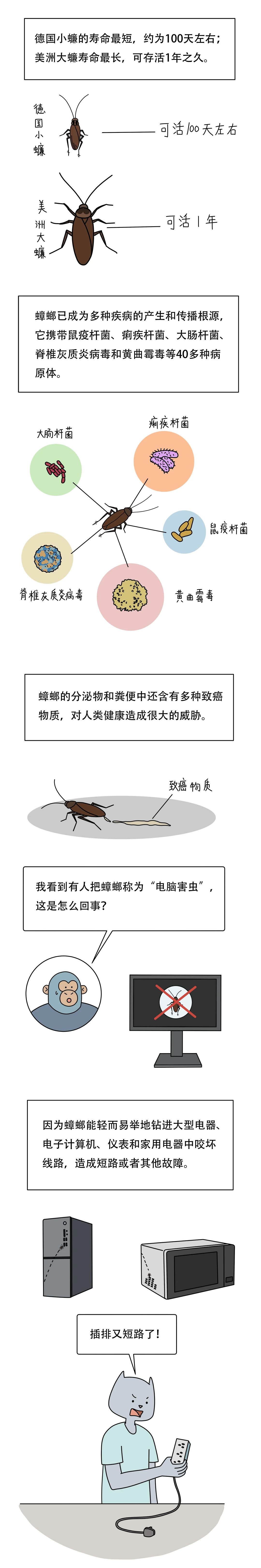 为什么蟑螂看起来虚弱却很难杀7