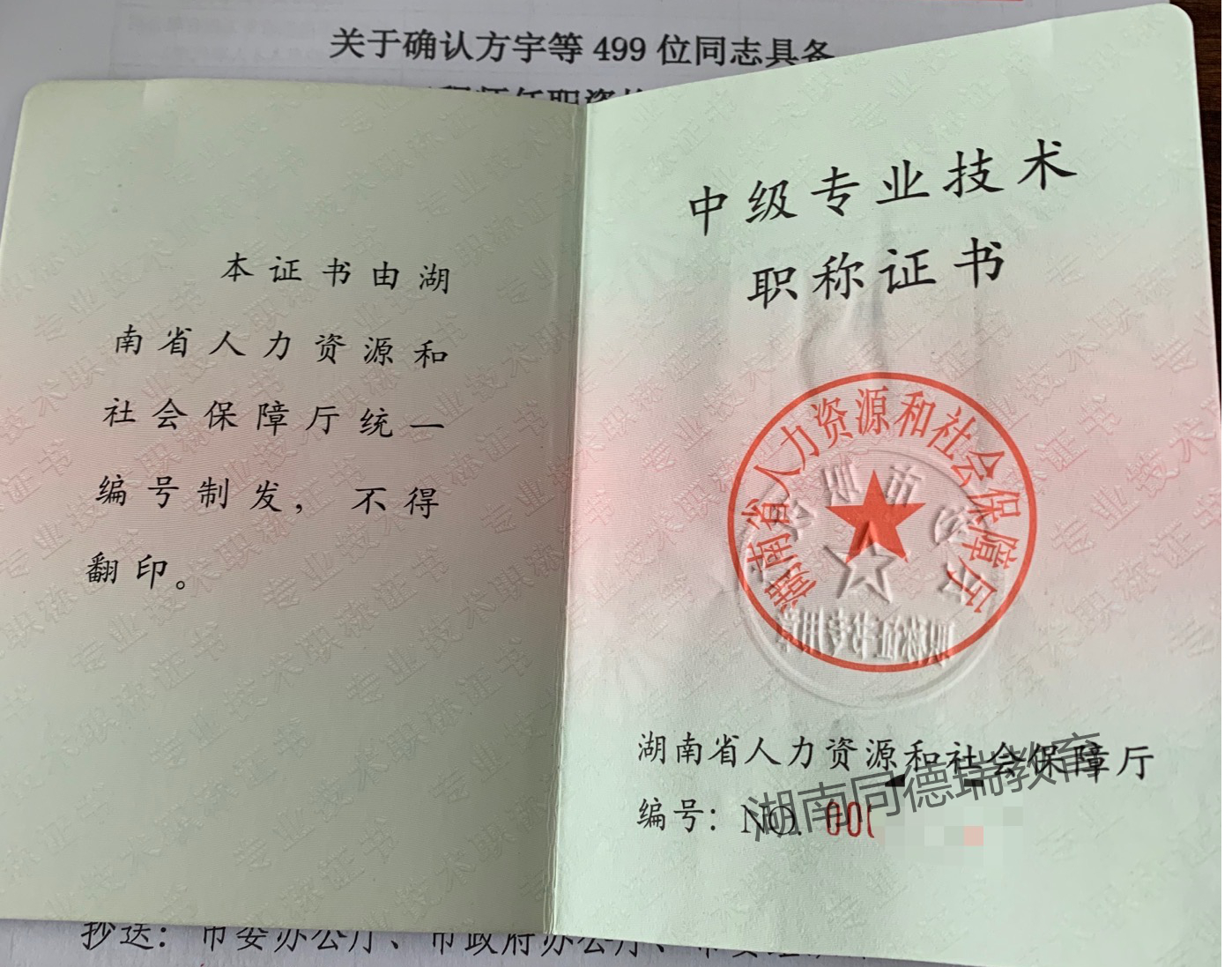 八,湖南中級職稱證評審書樣本什麼樣子的?