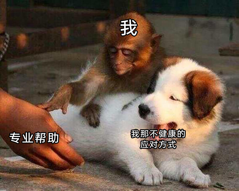 meme梗图:终于画完了! - 哔哩哔哩