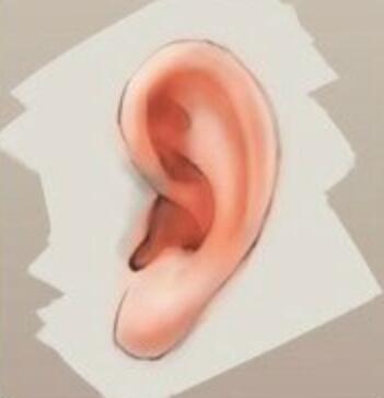 动漫人物耳朵怎么画?教你如何绘画人物耳朵的