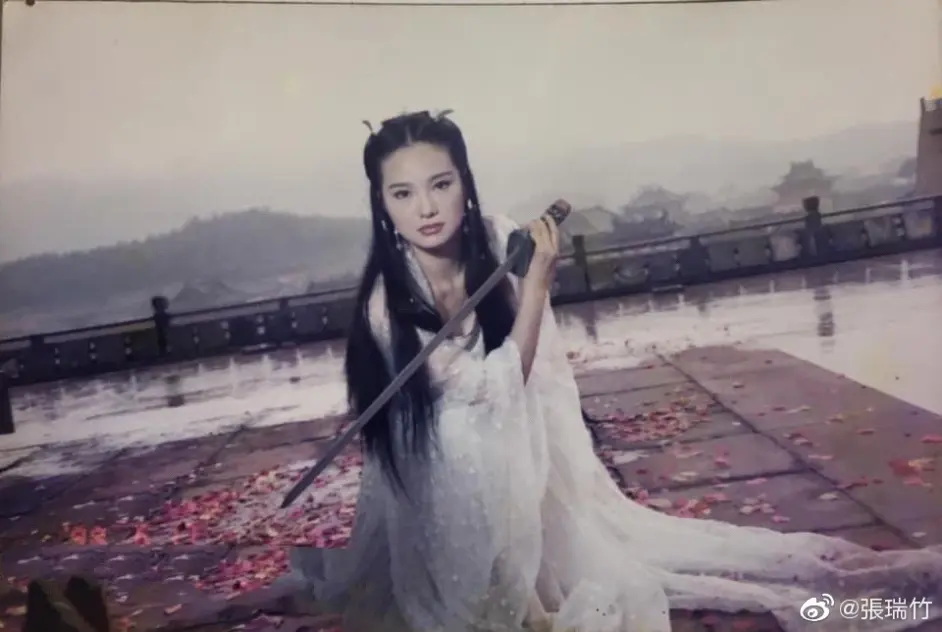 张瑞竹:怜星宫主的斜杠生活