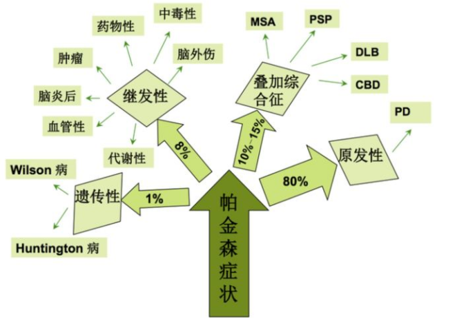 帕金森基础知识3:诊断与用药