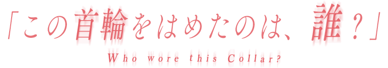 ブラックフライデー 広告