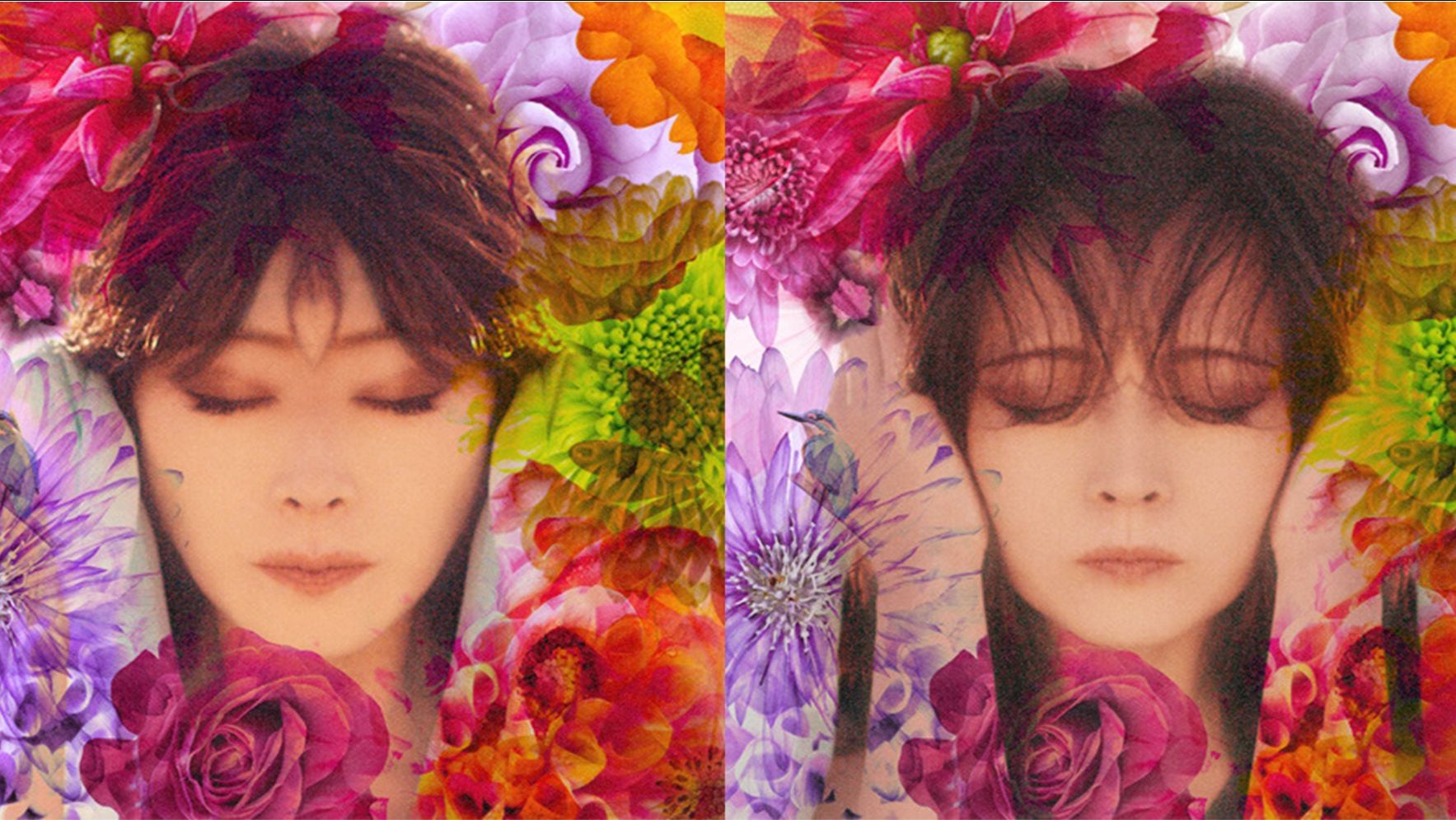 明菜歌簿 Fixer 歌姬的梦魇 哔哩哔哩