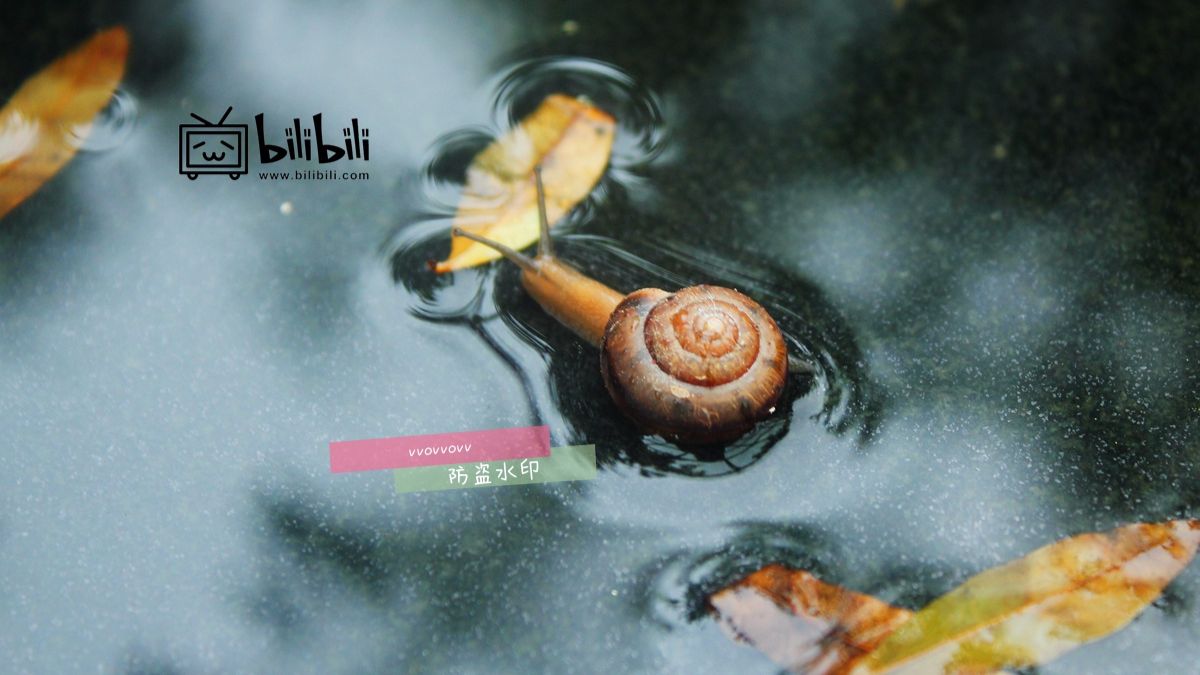 酢浆草病虫害防治 上 哔哩哔哩专栏