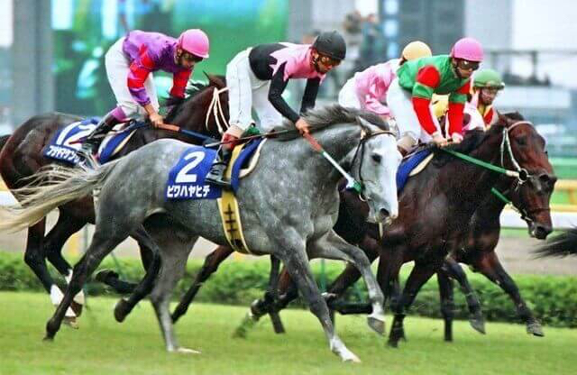 有个强大的弟弟不影响哥哥也比弟弟强的琵琶晨光