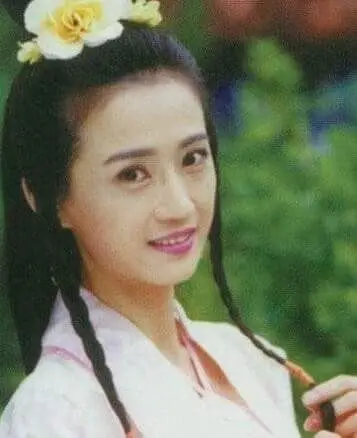 《孽女花》等戏,还在林志颖,苏有朋主演的《绝代双骄》中饰演铁萍姑