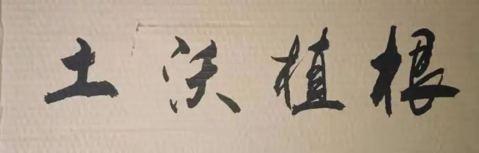 高手在废旧纸箱上练行书 行云流水 网友 比中书协会员写得好 哔哩哔哩