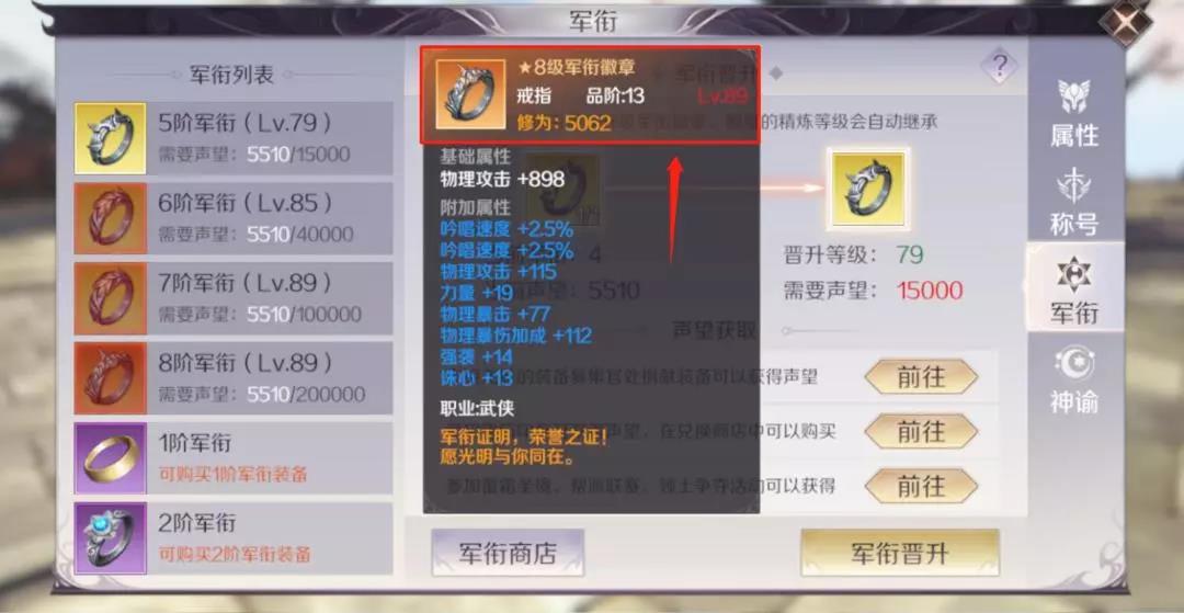 8阶军衔徽章——品阶13