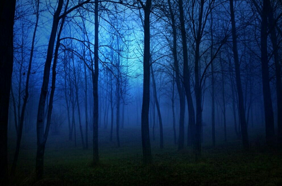 灵魂的因果的恐怖轮回