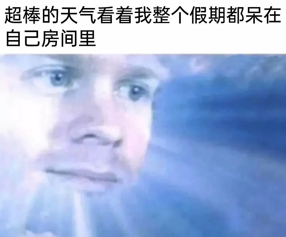 meme梗图:本周计划 - 哔哩哔哩