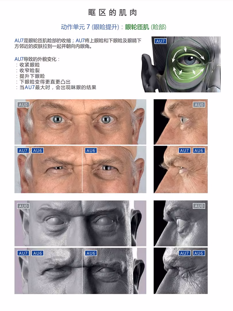 500 面部表情结构艺用解剖图