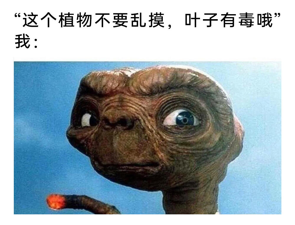 meme梗图：终于画完了！ - 哔哩哔哩